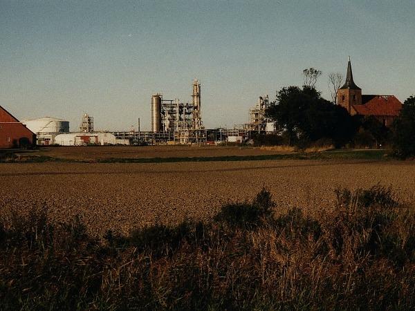 Heveskes in landschap